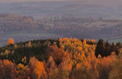 Castle for sale Piszkowice, Lower Silesia, Photo 25/28