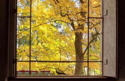 Castle for sale Piszkowice, Lower Silesia, Photo 27/28