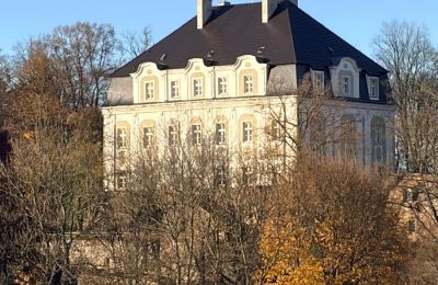 Castle for sale Piszkowice, Lower Silesia, Photo 26/28