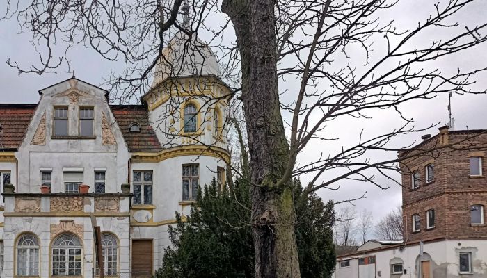 Historic Villa Tuplice 3