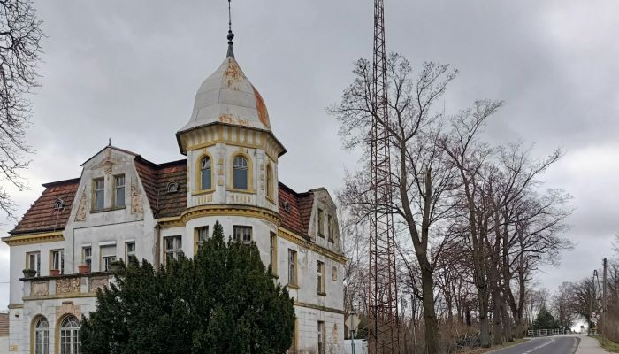 Historic Villa Tuplice 2