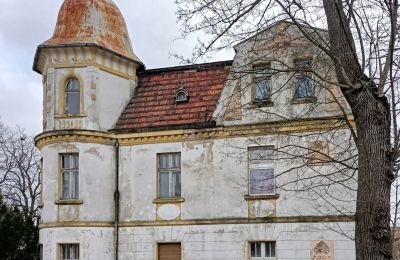 Historic Villa for sale Tuplice, Lubusz Voivodeship:  Side view