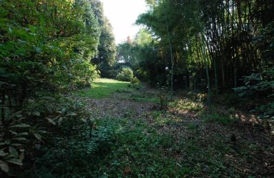 Historic Villa for sale Golasecca, Lombardy, Property