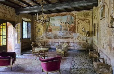 Castle for sale Cavallirio, Piemont:  Ballroom