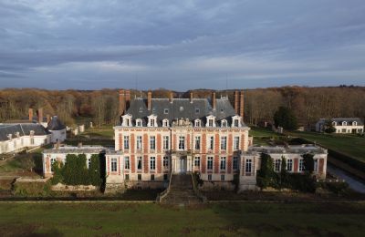 Character Properties, Magnificent castle near Paris with 59 hectares of land