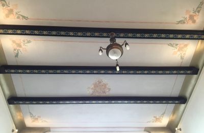 Historic Villa for sale Strzelin, Kazanów 21, Lower Silesia, Photo 9/35