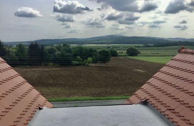 Historic Villa for sale Strzelin, Kazanów 21, Lower Silesia, Photo 29/35