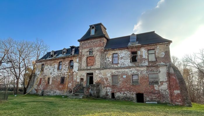Castle Komorowice 3