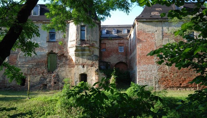 Castle Komorowice 4