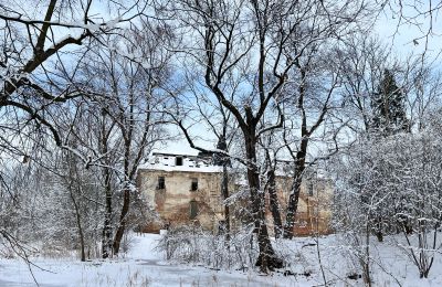 Castle for sale Komorowice, Wrocławska 27, Lower Silesia, Photo 34/36
