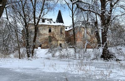 Castle for sale Komorowice, Wrocławska 27, Lower Silesia, Photo 27/36