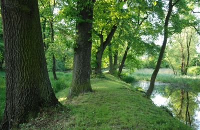 Castle for sale Komorowice, Wrocławska 27, Lower Silesian Voivodeship:  