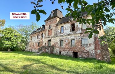 Castle for sale Komorowice, Wrocławska 27, Lower Silesia, Photo 3/36