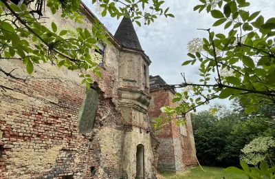 Castle for sale Komorowice, Wrocławska 27, Lower Silesia, Photo 21/36