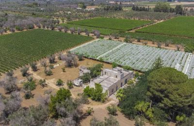 Farmhouse for sale Oria, Apulia:  Property