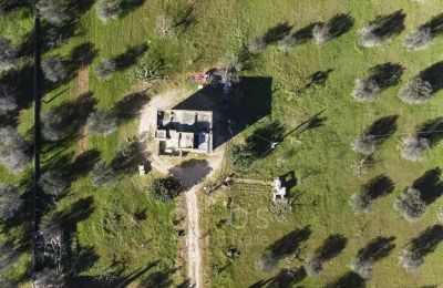 Country home for sale Oria, Apulia, Photo 26/26