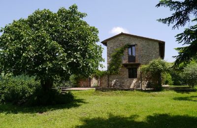 Farmhouse for sale Promano, Umbria:  Property