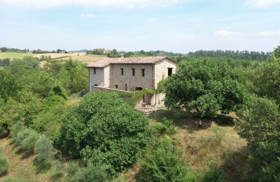 Farmhouse for sale Promano, Umbria:  