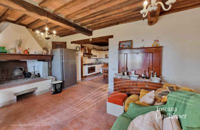 Country House for sale Gaiole in Chianti, Tuscany:  RIF 3041 Wohnbereich mit Kamin