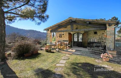 Country House for sale Gaiole in Chianti, Tuscany:  RIF 3041 Dependance