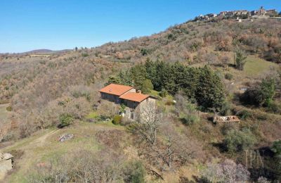 Farmhouse for sale 06019 Preggio, Umbria:  