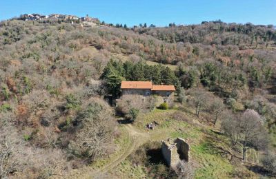 Farmhouse for sale 06019 Preggio, Umbria:  