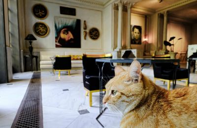 Historic villa for sale İstanbul, Tom Tom, Nur-i Ziya Sokak, Photo 6/33