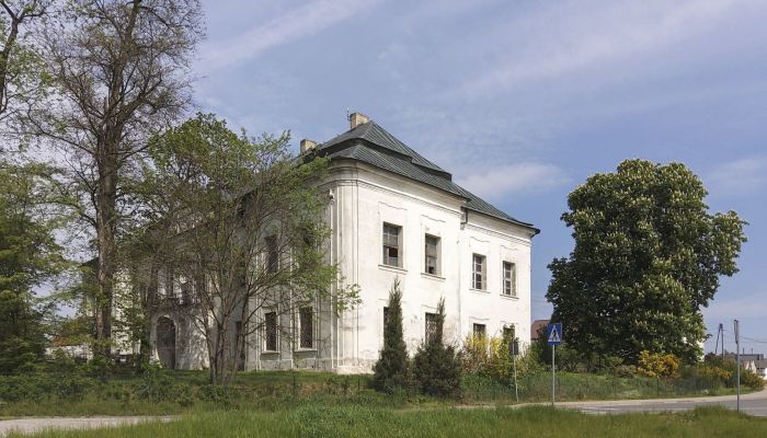 Castle Pisarzowice 3