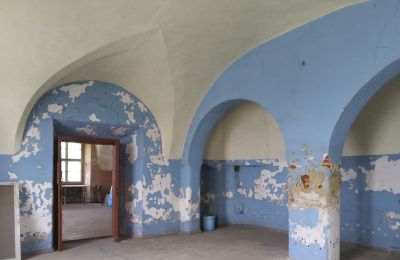 Castle for sale Pisarzowice, Opole Voivodeship:  Interior 2