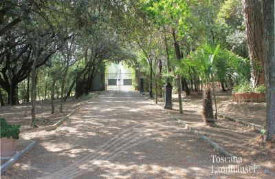 Historic Villa for sale Foiano della Chiana, Tuscany:  Access