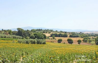 Historic Villa for sale Foiano della Chiana, Tuscany:  View