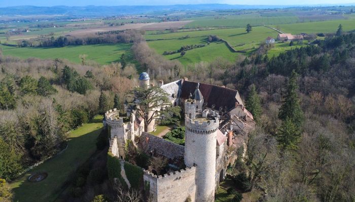 Castle for sale Veauce, Auvergne-Rhône-Alpes,  France