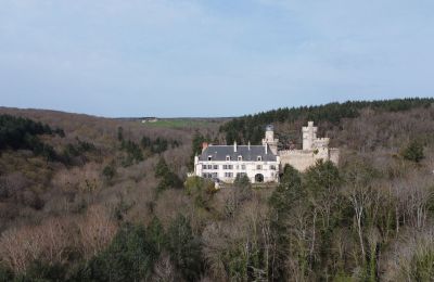 Castle for sale Veauce, Auvergne-Rhône-Alpes:  