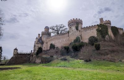Castle for sale Veauce, Auvergne-Rhône-Alpes, Photo 3/10