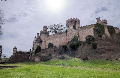 Castle for sale Veauce, Auvergne-Rhône-Alpes:  