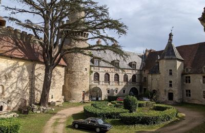 Castle for sale Veauce, Auvergne-Rhône-Alpes, Photo 4/10