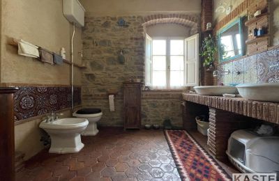 Farmhouse for sale Vecchiano, Tuscany:  