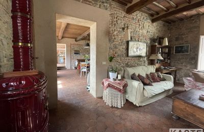 Farmhouse for sale Vecchiano, Tuscany:  