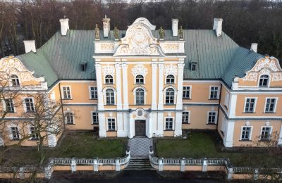 Castle for sale Czempiń, Greater Poland Voivodeship:  Drone