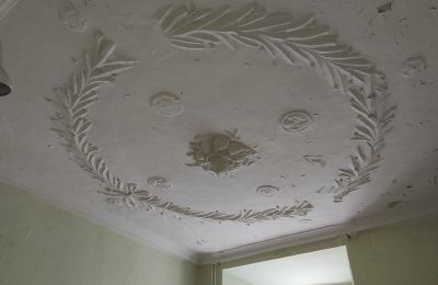 Castle for sale 04600 Altenburg, Thuringia,, Ansicht