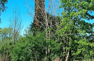 Manor House for sale Gulbere, Vidzeme, Outbuilding