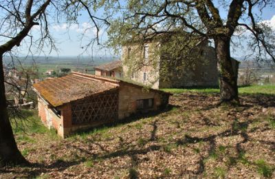 Farmhouse for sale Siena, Tuscany:  RIF 3071 Blick auf Rustico