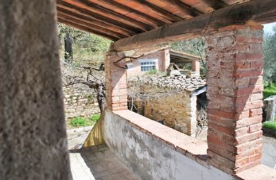 Farmhouse for sale Siena, Tuscany:  RIF 3071 Pergola