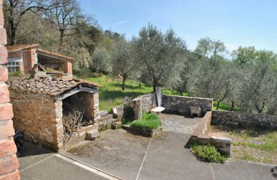 Farmhouse for sale Siena, Tuscany:  RIF 3071 Terrasse