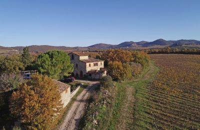 Country House for sale Gaiole in Chianti, Tuscany:  RIF 3073 Anwesen und Zufahrt