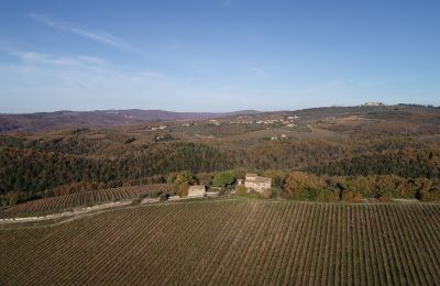 Country House for sale Gaiole in Chianti, Tuscany:  RIF 3073 Umgebung