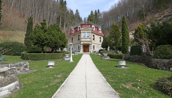 Historic Villa Bad Urach 3