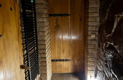 Historic Villa for sale Chmielniki, Kuyavia-Pomerania, piwnica