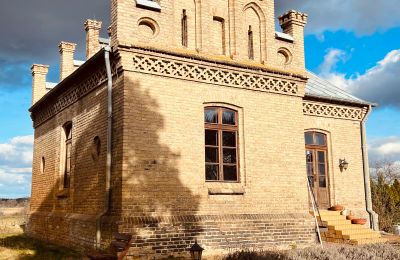 Historic Villa for sale Chmielniki, Kuyavia-Pomerania, widok z tyłu