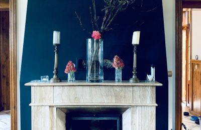 Historic villa for sale Chmielniki, Kuyavia-Pomerania, Photo 8/23